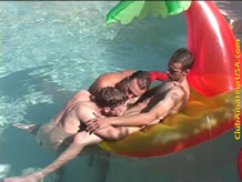 causa259_poolside_threeway_preview_images_013.jpg (57kb)